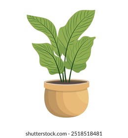 Plantas de la casa en macetas. Elemento para casa de diseño, habitación u oficina. Elemento aislado sobre fondo blanco.
