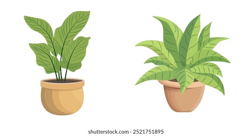 House plants in pots. Element for design house, room or office. Isolated element on white background.