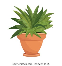 House plants in pots. Element for design house, room or office. Isolated element on white background.