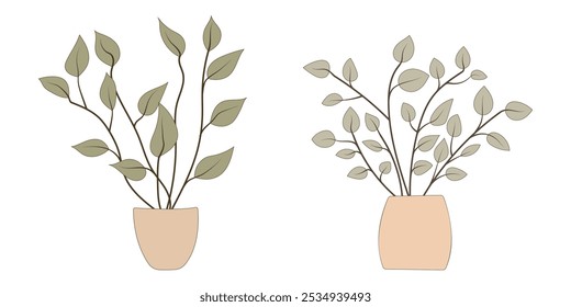 Casa plantas em vasos. Elemento para casa de design, sala ou escritório. Elemento isolado no plano de fundo branco.