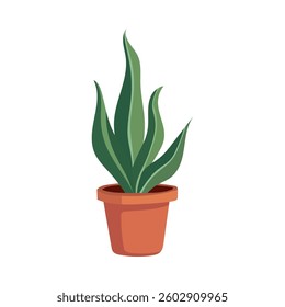 House plants in pots. Element for design house, room or office. Isolated element on white background.