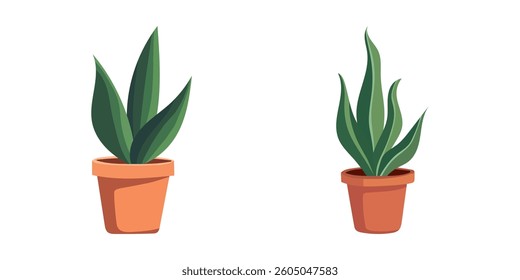 House plants in pots. Element for design house, room or office. Isolated element on white background.