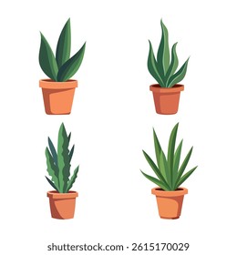 House plants in pots. Element for design house, room or office. Isolated element on white background.