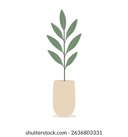 House plants in pots. Element for design house, room or office. Isolated element on white background.
