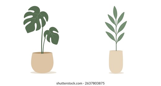 House plants in pots. Element for design house, room or office. Isolated element on white background.