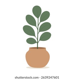 House plants in pots. Element for design house, room or office. Isolated element on white background.