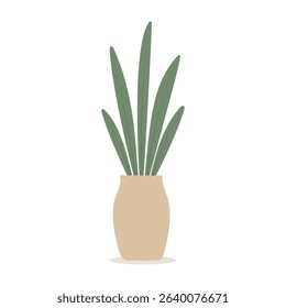 House plants in pots. Element for design house, room or office. Isolated element on white background.