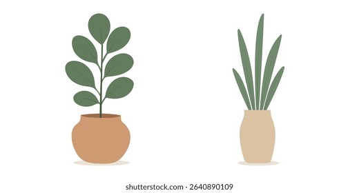 House plants in pots. Element for design house, room or office. Isolated element on white background.