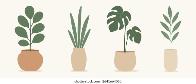 House plants in pots. Element for design house, room or office. Isolated element on white background.