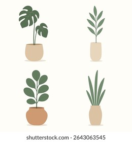 House plants in pots. Element for design house, room or office. Isolated element on white background.