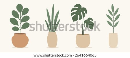 House plants in pots. Element for design house, room or office. Isolated element on white background.