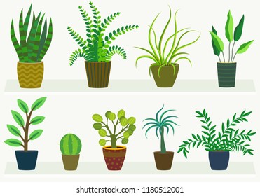 house plants in pots, flat design