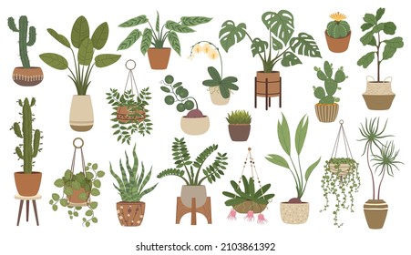 House Plants In Pots, Hanging Houseplants, Indoor Home Decor. Potted Cactus, Succulents, Urban Jungle Plant Interior Decorations Vector Set. Stands With Flowers In Scandinavian Style