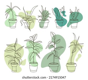 House plants in pots, office flowers, cartoon tropic leaves. Green outline icon set of palm tree, philodendron, ficus, sansevieria, succulent. Garden plant vector illustration with fluid design wave.