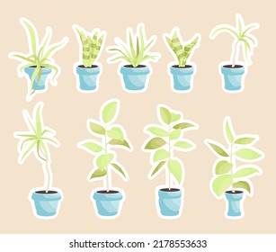 House plants in pots, office flowers cute sticker pack, cartoon tropic leaves. Green icon set of palm tree, philodendron, ficus, sansevieria, succulent. Garden plant vector illustration.