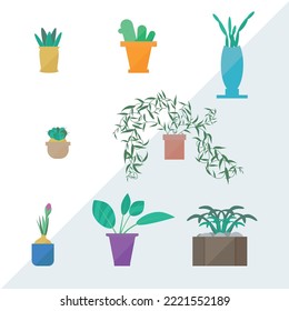 Plantas domésticas en macetas conjunto de ilustración vectorial