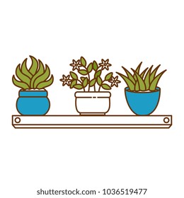 house plants with pots in shelf
