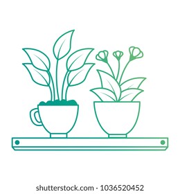house plants with pots in shelf