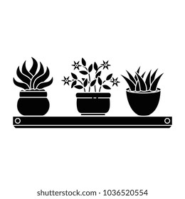 house plants with pots in shelf