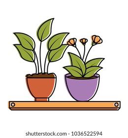 house plants with pots in shelf