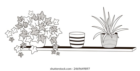 house plants in pots stand on a shelf