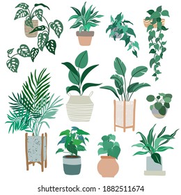 House plants in pots, trendy hand drawn vector flat illustration, urban jungle design, tropical plants.