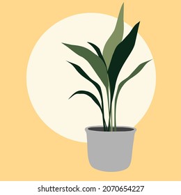 House plants in the pots. Trendy home decor with plants. Hygge. Vector flat illustration.