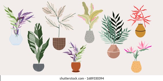 House plants in pots and vases. Beautiful hand drawn isolated element vector set. Home decor and gardening. Floristic concept. Indoor botany. Modern design elements. House flowers.