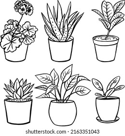 House plants in pots. Vector illustration