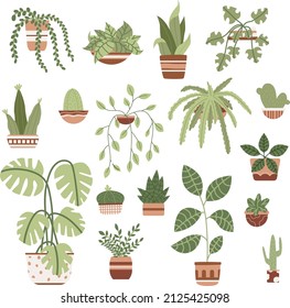 House plants in pots vector set
