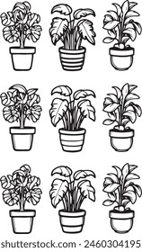 House plants in pots vector.small tree vector