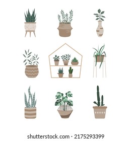 House plants series.Potted Plants Collection. hand drawn,decor,tree,Vector illustrations.