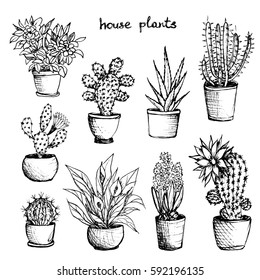 House Plants - Set Of 9 Hand-Drawn Plants