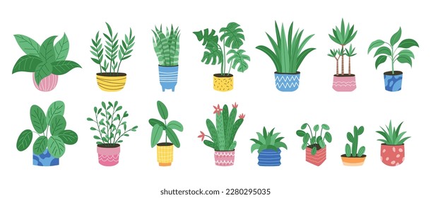 Plantas de casa, bonita decoración de la olla. Colección de macetas de flores, cactus caseros y suculento jardín, ficus tropicales en el interior, hoja de palma. Objetos interiores. Ilustración plana de dibujos animados garish