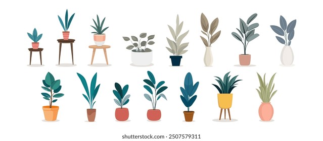 House plants. Set of different green-leaved plants in minimalist pots, perfect for modern interior design and decor. Isolated flat vector illustration on white background.