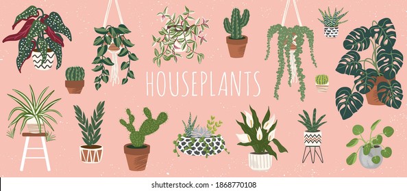 House plants set. Trendy home decor with plants vector illustration. Flowers in pot, macrame hanger, house interior design