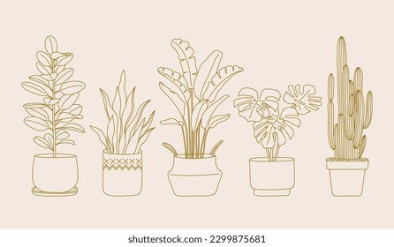 House plants set. Trendy home decor. Monstera, ficus, cacti for home and interior. Vector illustration