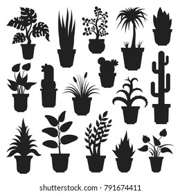 House plants silhouettes. Plant grown in a container, pot inside a house or flat, office air purification, ornamental green plant. Vector flat style cartoon illustration isolated on white background