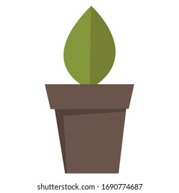 House plants simple Illustration Clip Art vector