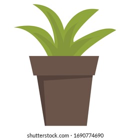 House plants simple Illustration Clip Art vector