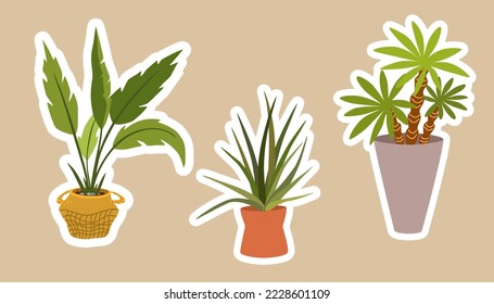 House plants stickers. Set of hygge tropical patee succulent plants stickers. Cozy lagom style collection of plants in cartoon style. Hand draw vector bundle.