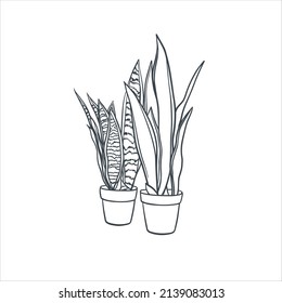 House Plants thin line stock illustration 