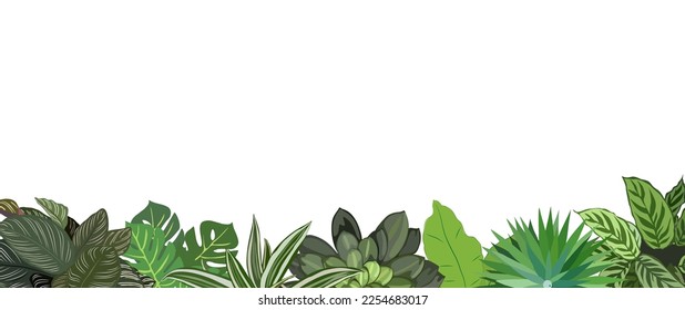 House plants and Tropical leaves background. Palm tree, monstera, succulents nature border. Tropical Plant and Foliage Growth Modern template, overlay, banner. Vector illustration isolated on white.