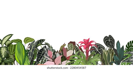 House plants and Tropical leaves background vector