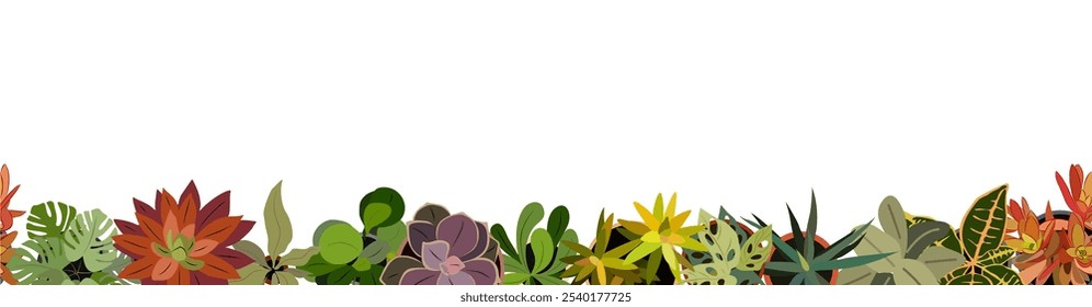 House plants and Tropical leaves background. Palm tree, monstera, succulents nature border. Tropical Plant and Foliage Growth Modern template, overlay, banner. Vector illustration isolated.