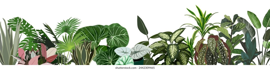 House plants and Tropical leaves border background