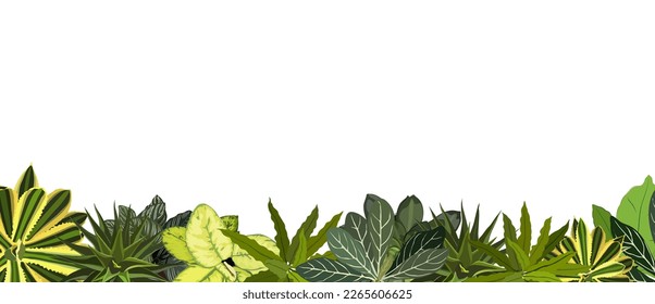 Plantas de casa y borde vectorial de hojas tropicales.