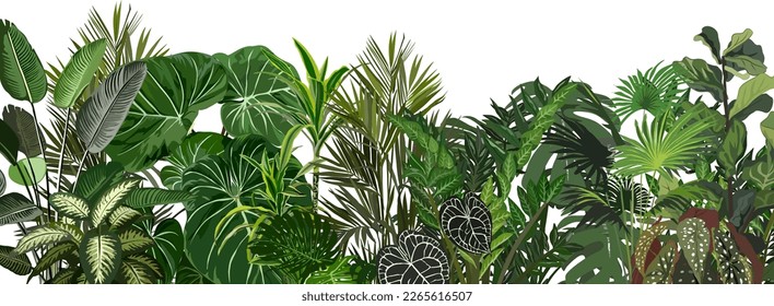 House plants and Tropical leaves vector border.