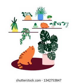 
House plants of various sizes and two red cats nearby
