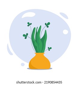 House plants in vase. Pottery Vase with House plants.  Hand drawn vector illustration. Trendy home plants in flat style. 